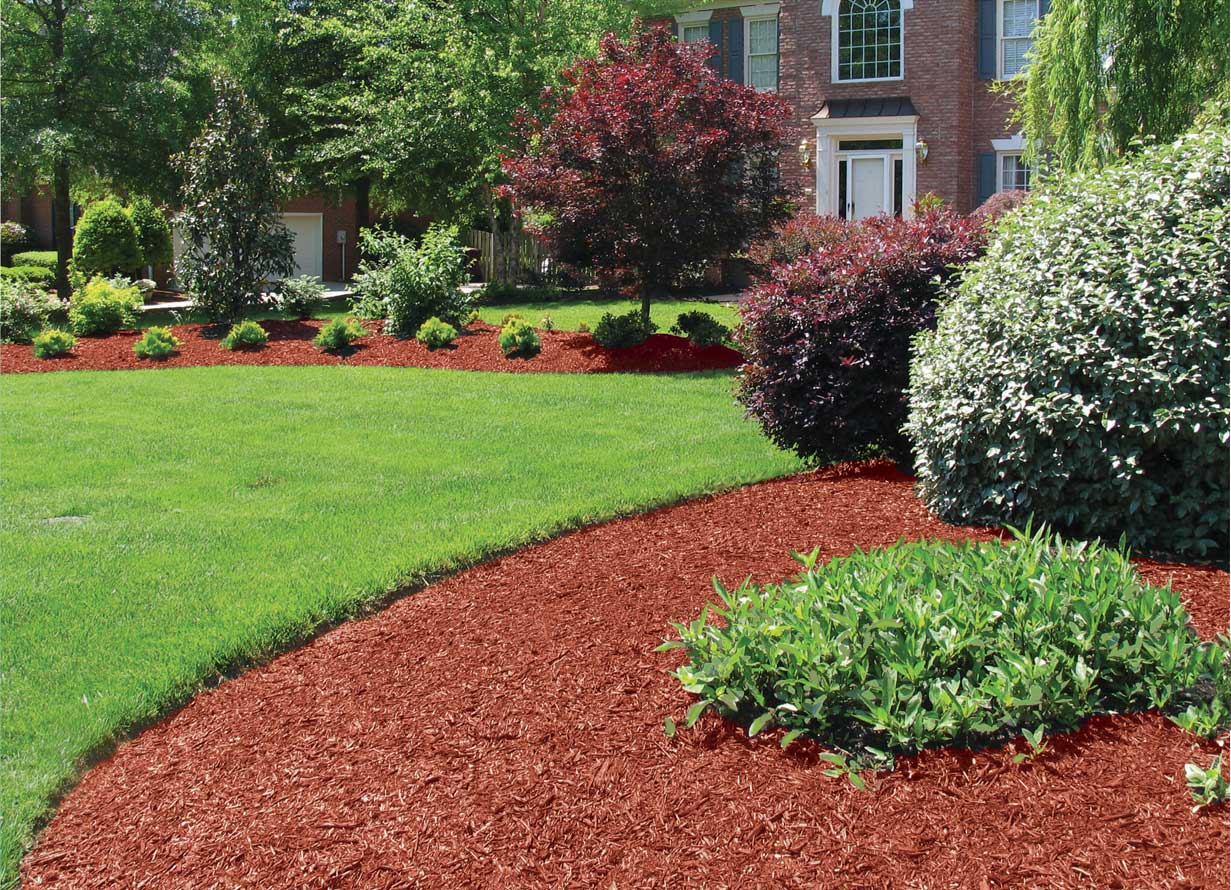 A vibrant garden in Kitsap County demonstrating the mulch benefits, showcasing healthy plants and a layer of mulch for moisture retention, weed suppression, and soil enrichment.