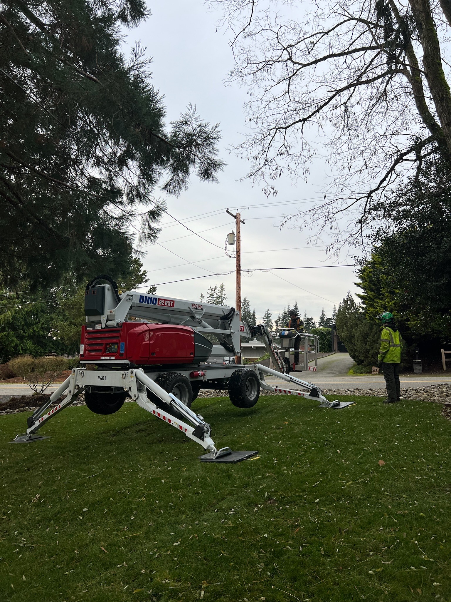 Spider lift in action during tree care, safely reaching high branches in a challenging location with minimal landscape impact.