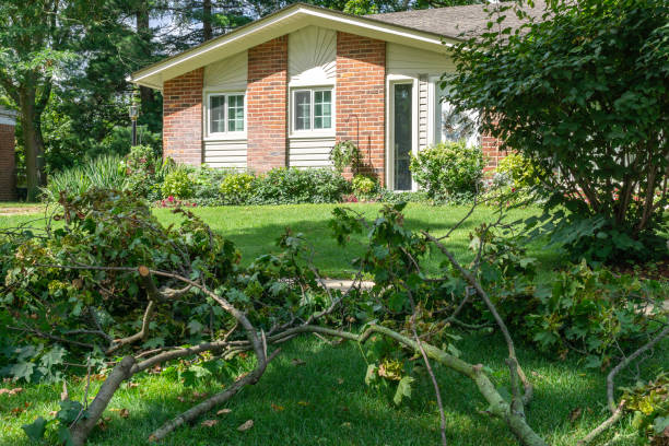 Emergency tree service team removing a fallen tree during a storm, ensuring safety and clearing the path.