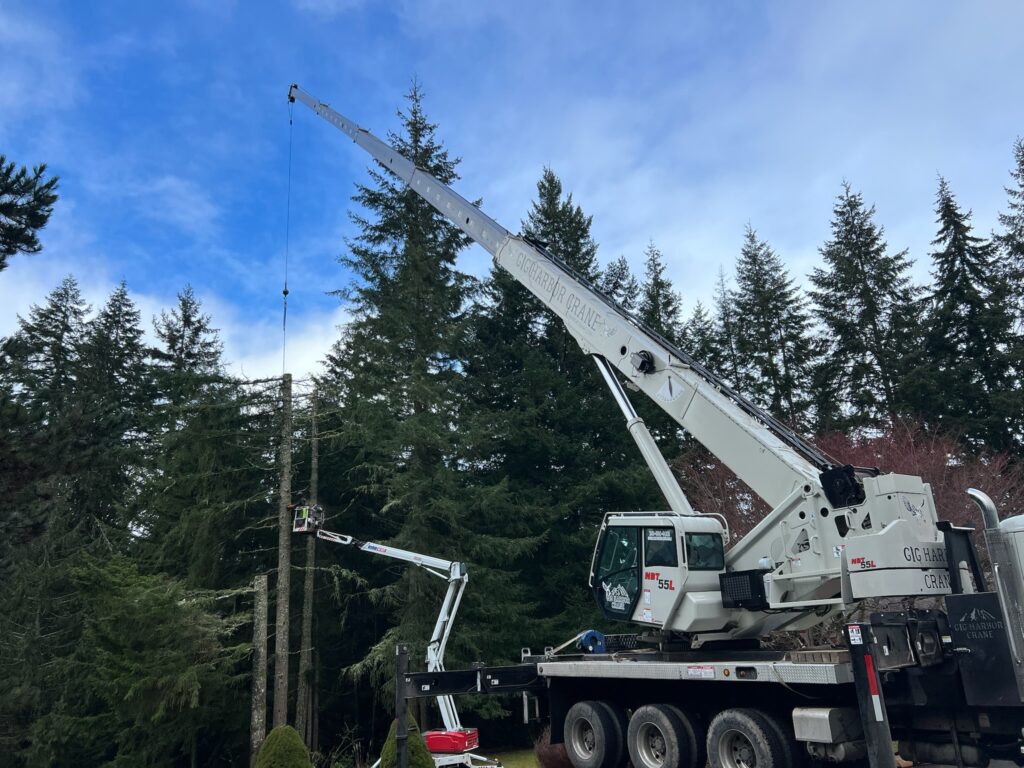 removing a douglas fir in Poulsbo WA