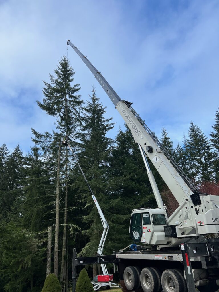 Removing many douglas firs in Poulsbo WA with the help of a crane.