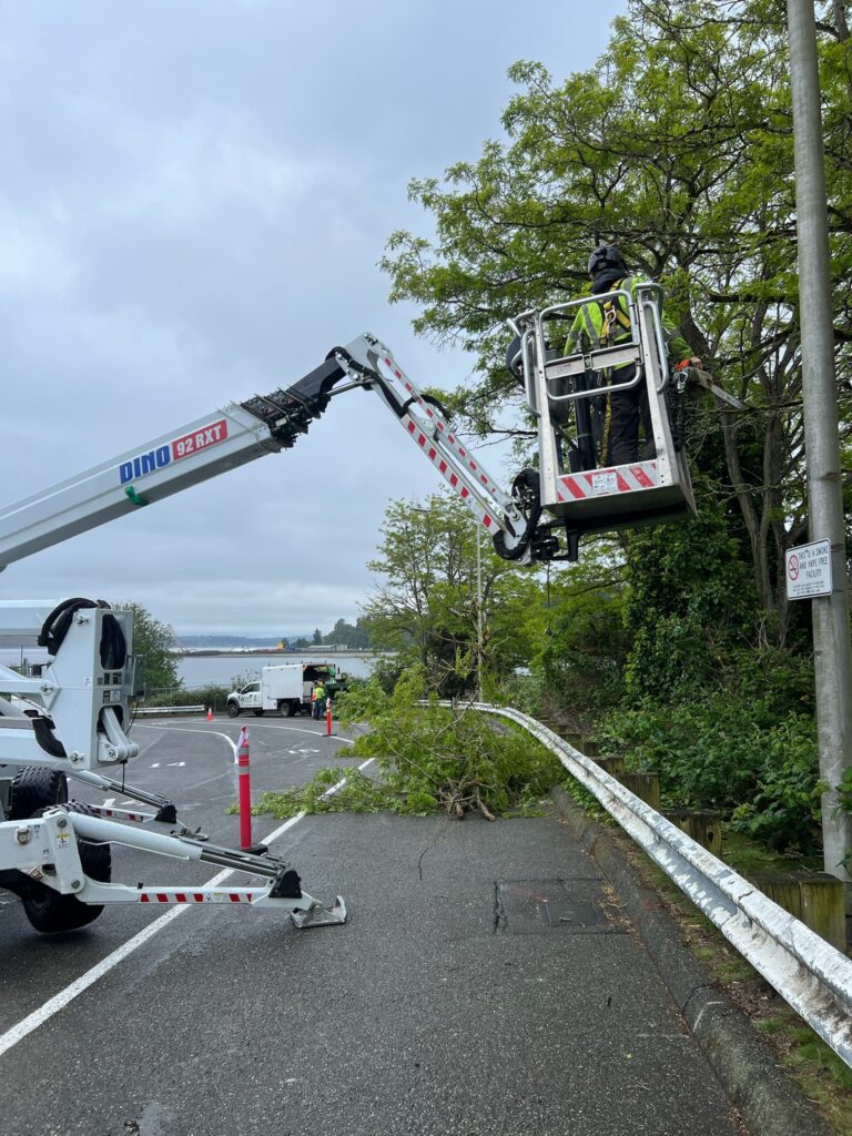 using the spider lift to clear trees in the Bainbridge Island Ferry