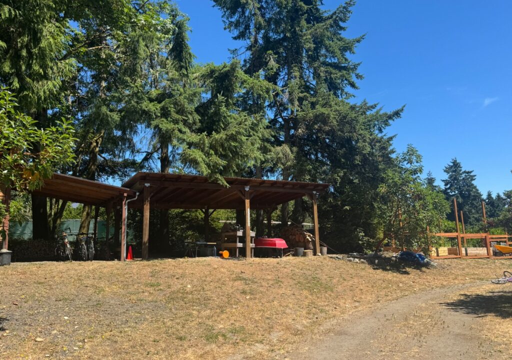 As part of our full tree service day rate, we included reduction pruning in Bainbridge Island, WA