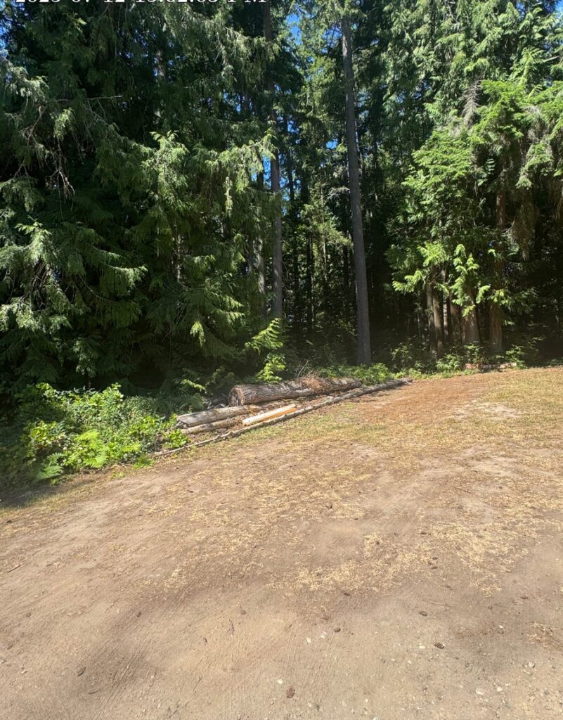 ClearTree doing some crown raising to three Evergreen trees on a homeowner's property in Bainbridge Island WA.